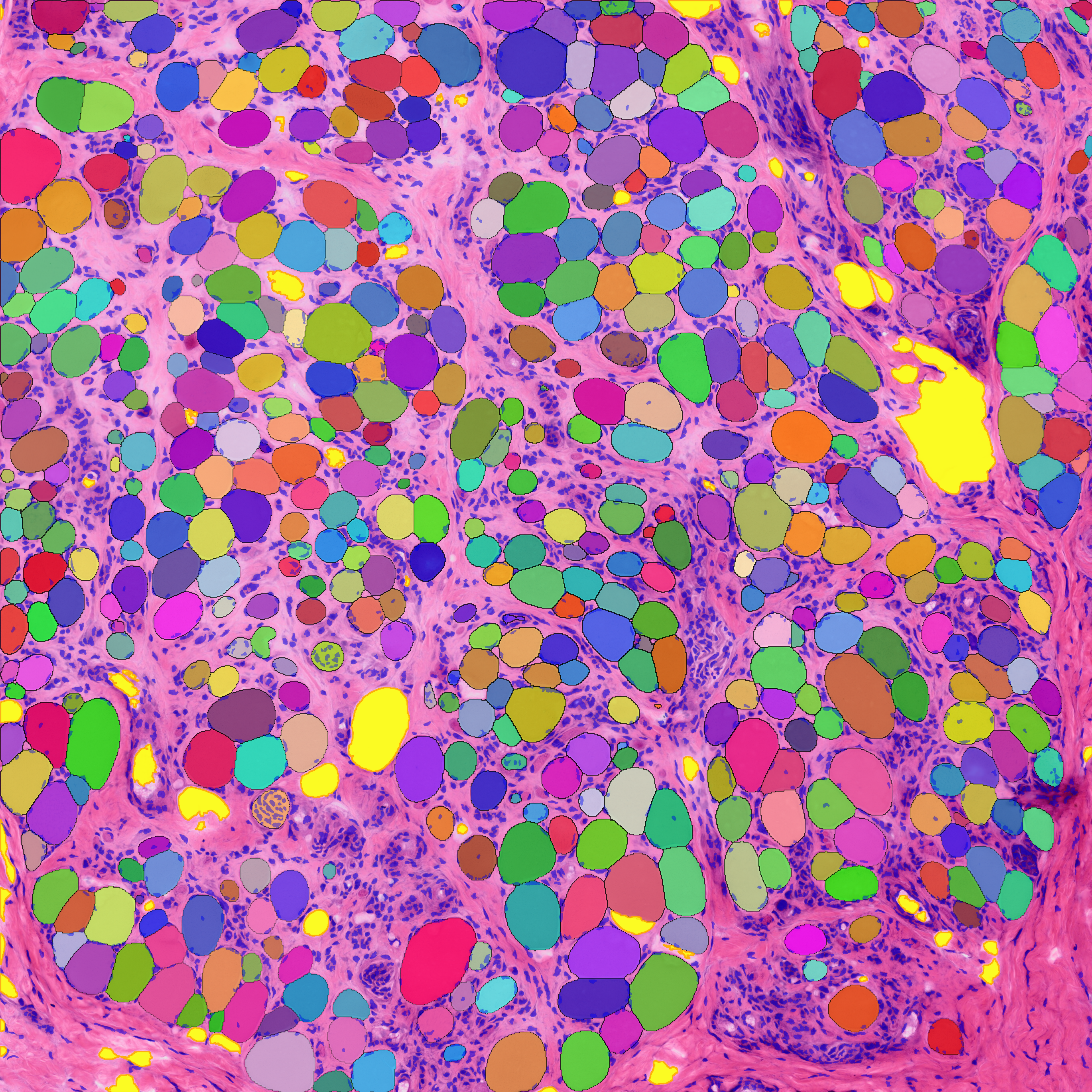 Color Map
